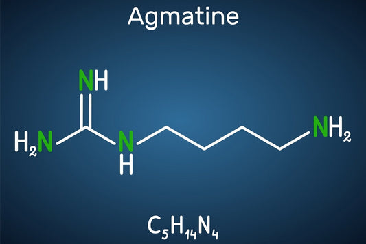 Agmatyna – suplement zakazany?