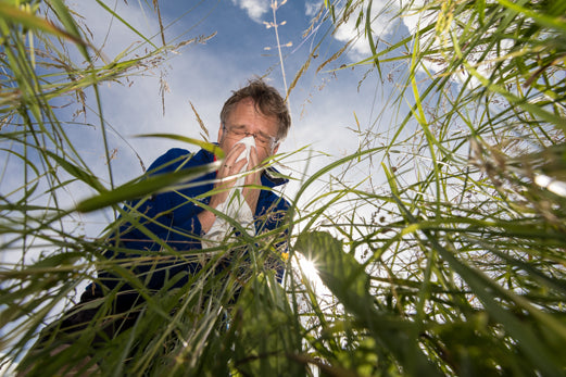 Alergia i nietolerancja